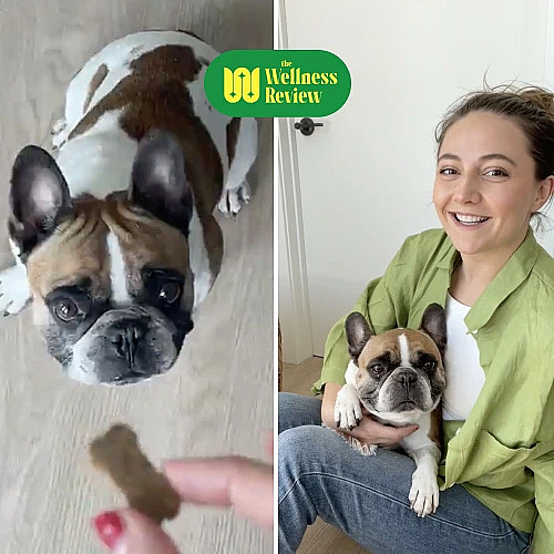 I Didn’t Think These Allergy Chews Would Work For My Dog. Now I’m a Believer.