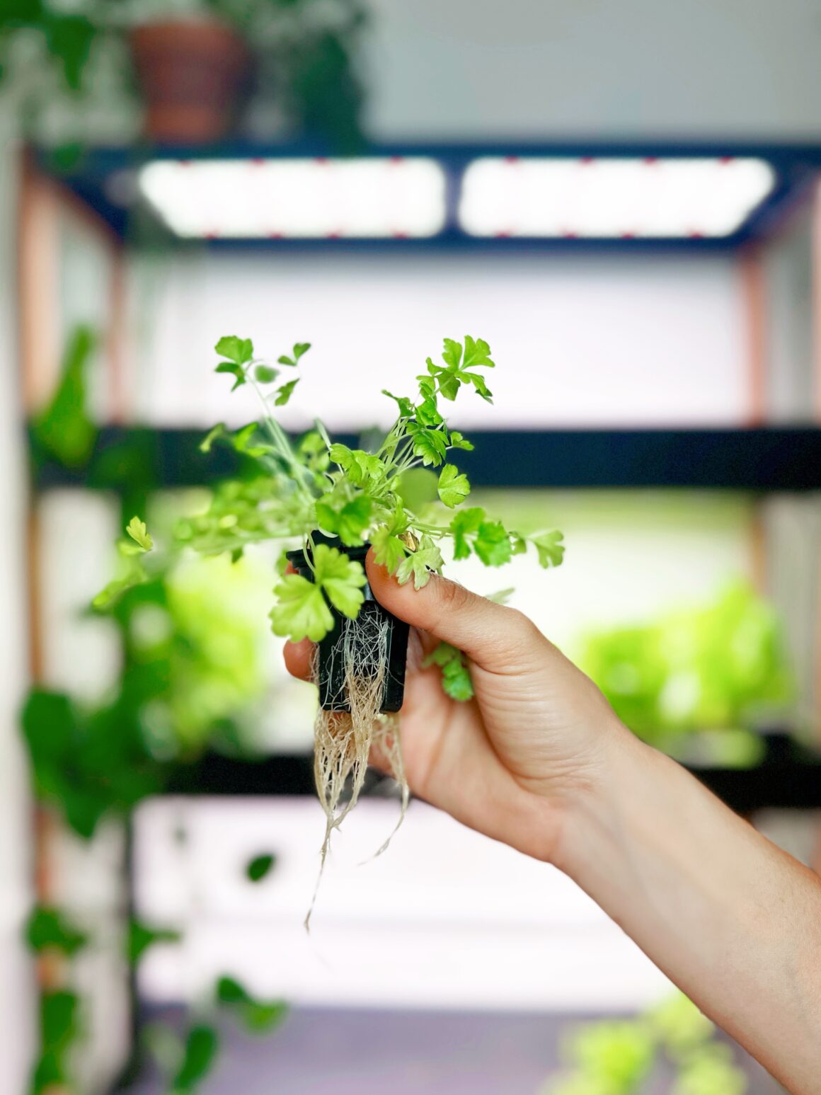 01 07 2024 11 51 07 alexandra catalano 1160x1547