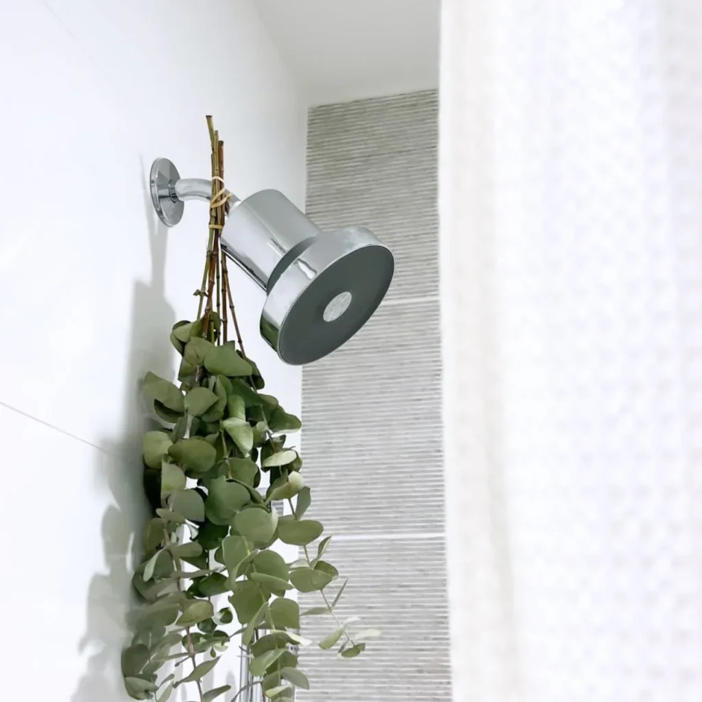 ig story jessica stanzione t143810 3 1200x at 2x edited 1024x1024