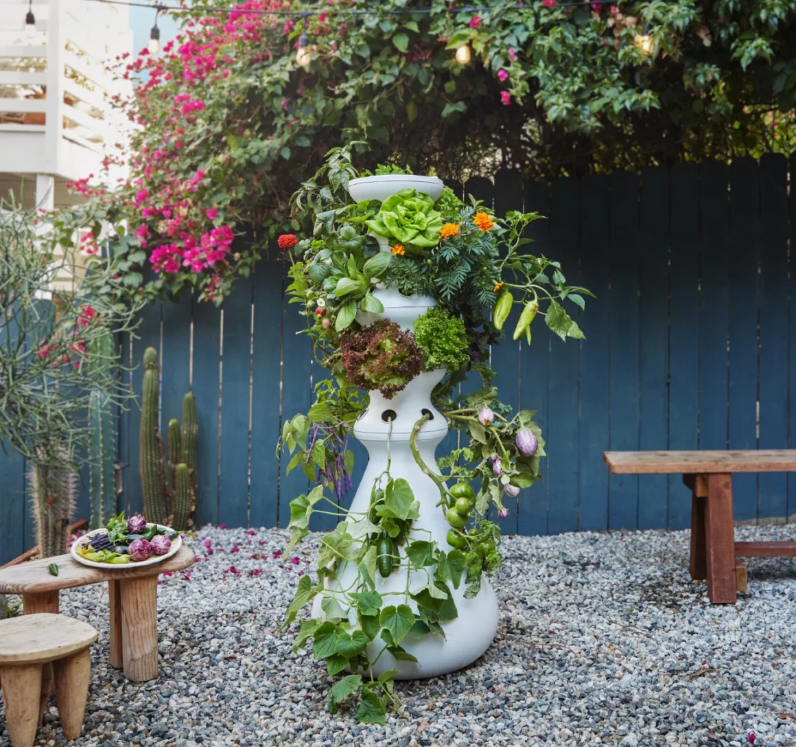 lettucegrow 1160x1088