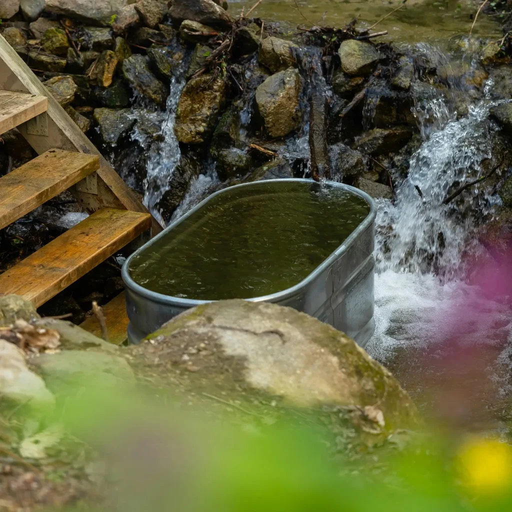 lukas kubica mcorefjfsng unsplash 1024x1024