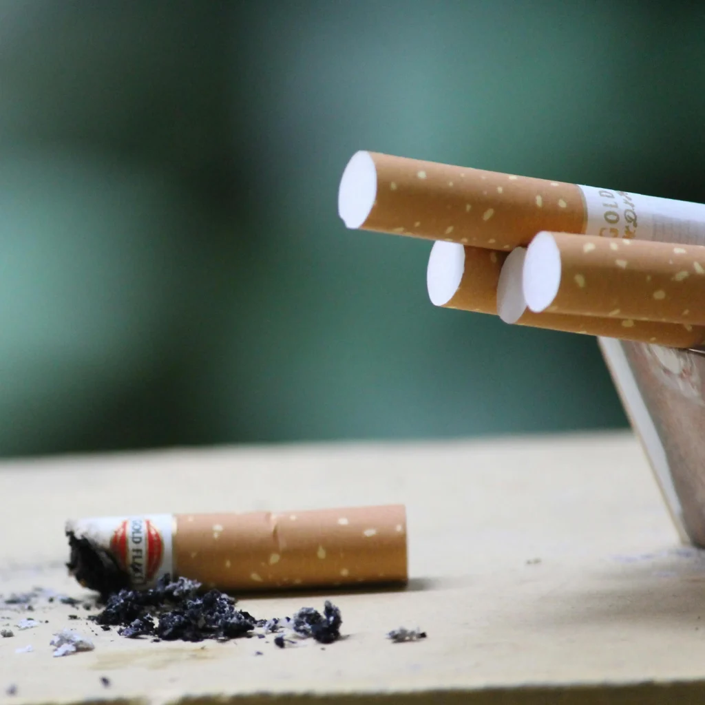 pexels mkbasil 247040 1024x1024