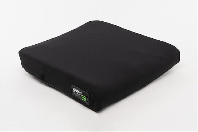 Ease Cushion