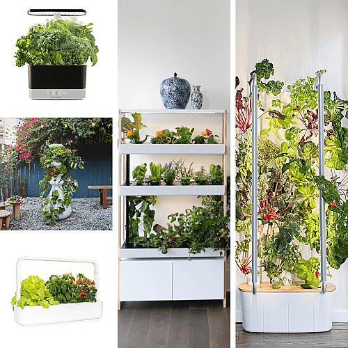 5 Top Indoor Gardens: Which One Reigns Supreme?
