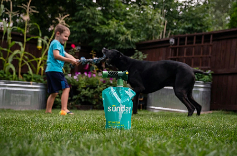 7 Ways Sunday Lawn Care Creates a Pet-Approved Lawn