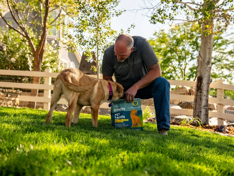 7wayspetapproved img 1