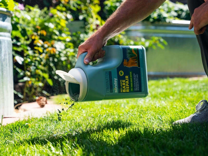 7wayspetapproved img 2