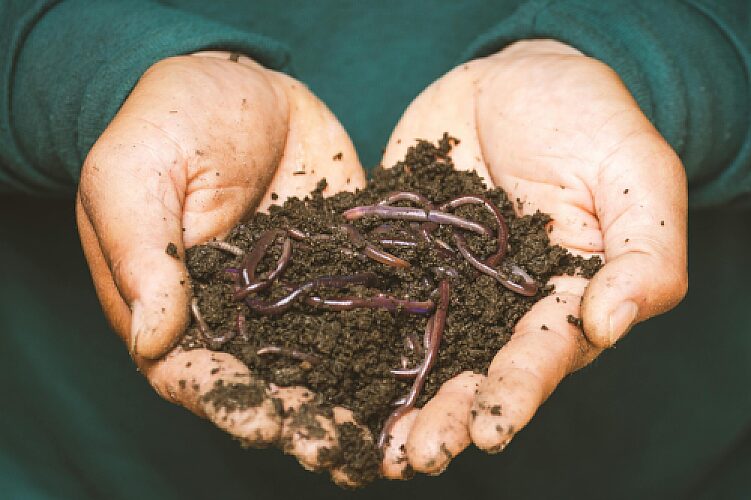 Top 10 Reasons You Should Compost at Home