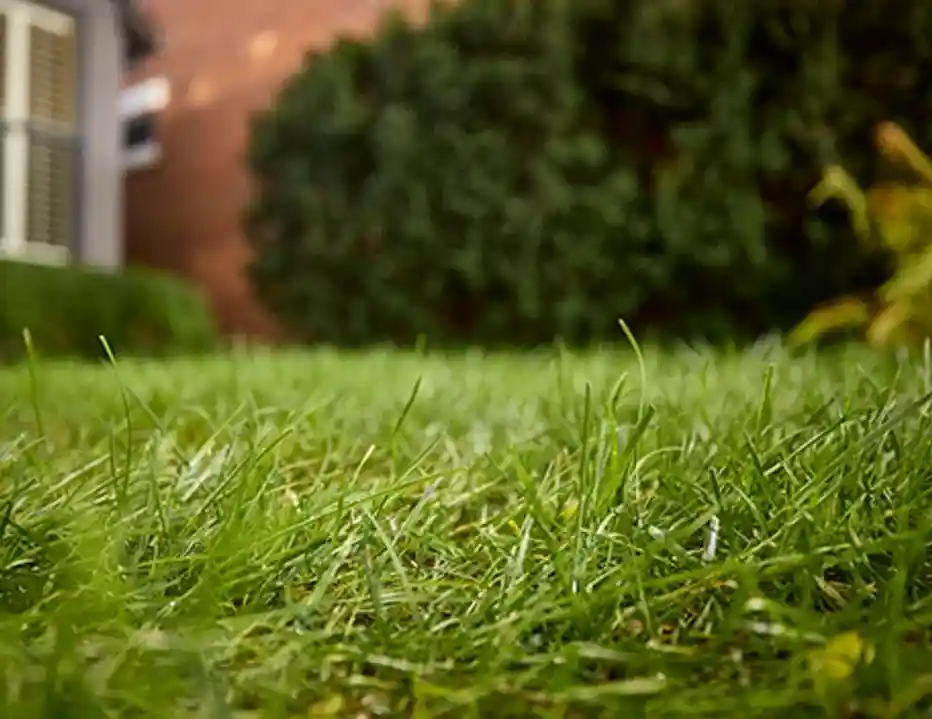 w640235 100224 jc bs 0576 456x352