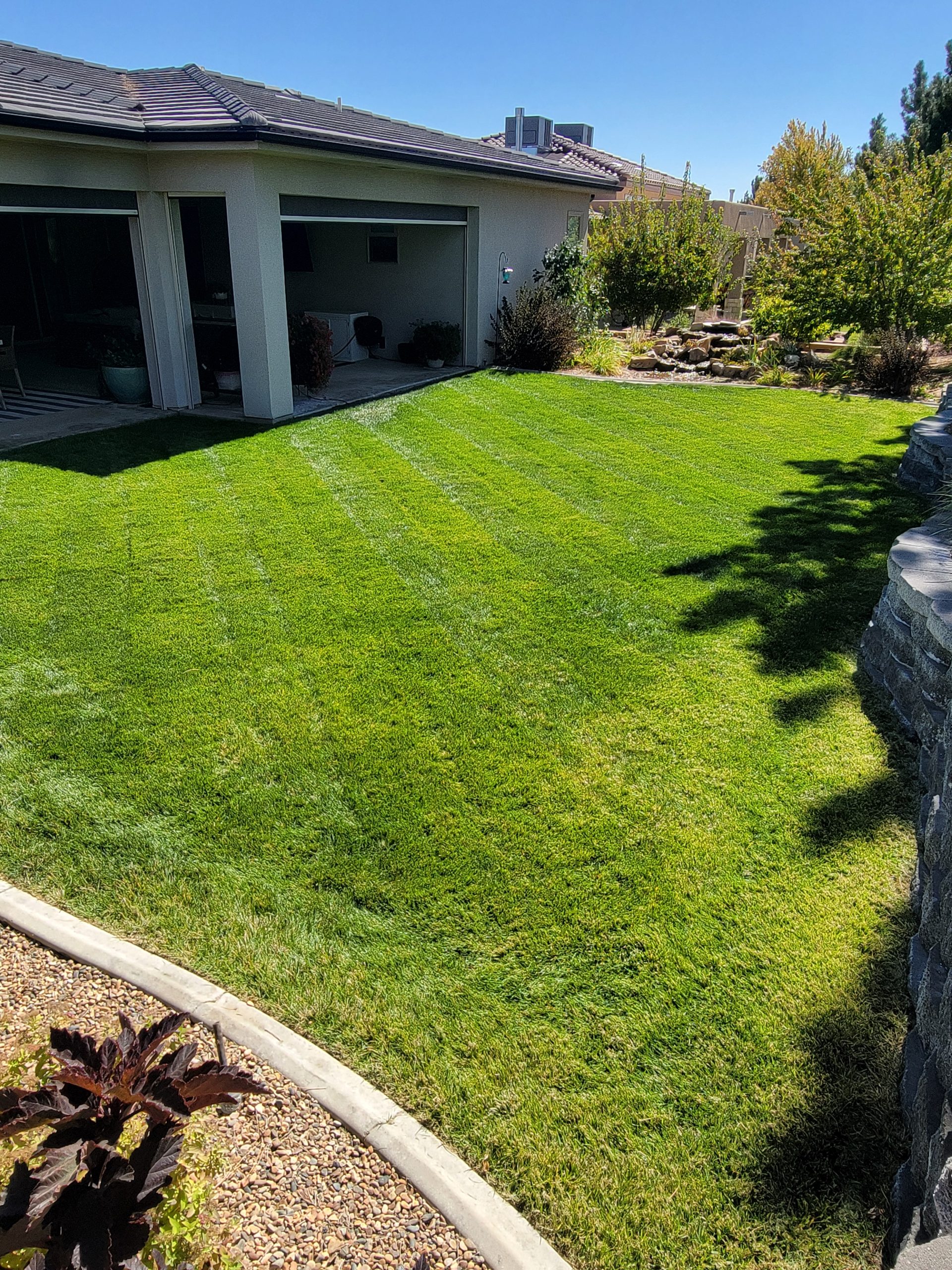 jeremy rowse 2 scaled