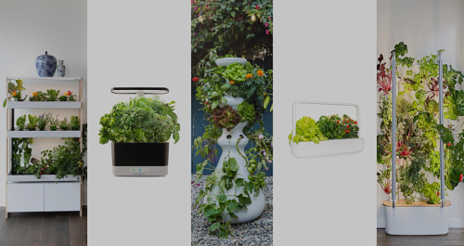 We Compared The Top 5 Indoor Gardens. Here’s Our Favorite Pick For The Holidays.