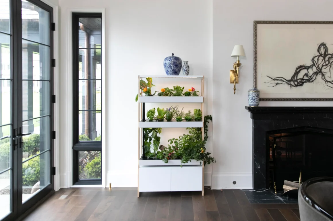 rise lifstyle 1160x773