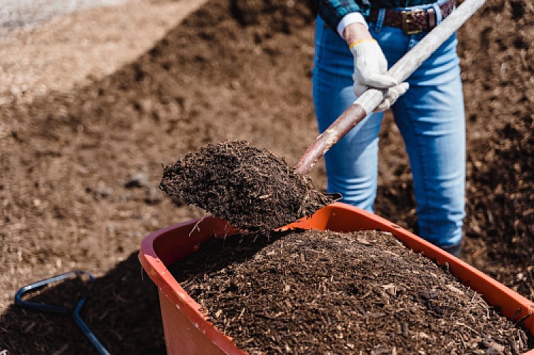 6 Different Ways to Compost