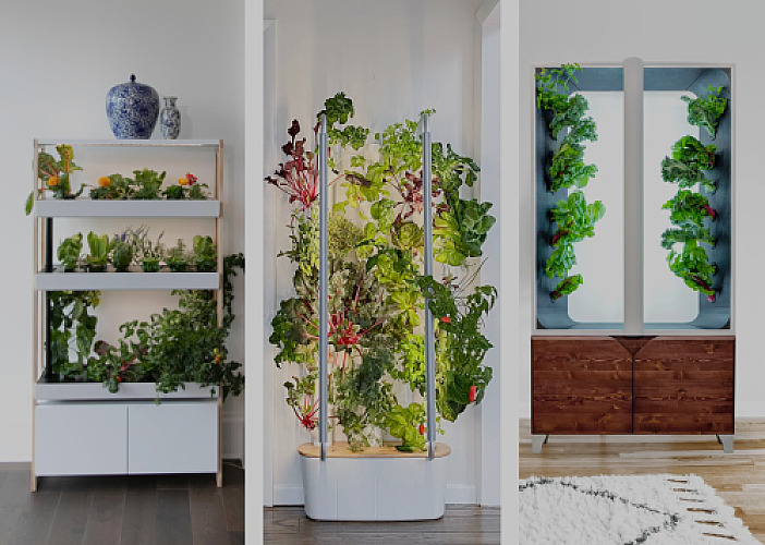 Rise Gardens Vs. Gardyn Vs. Just Vertical