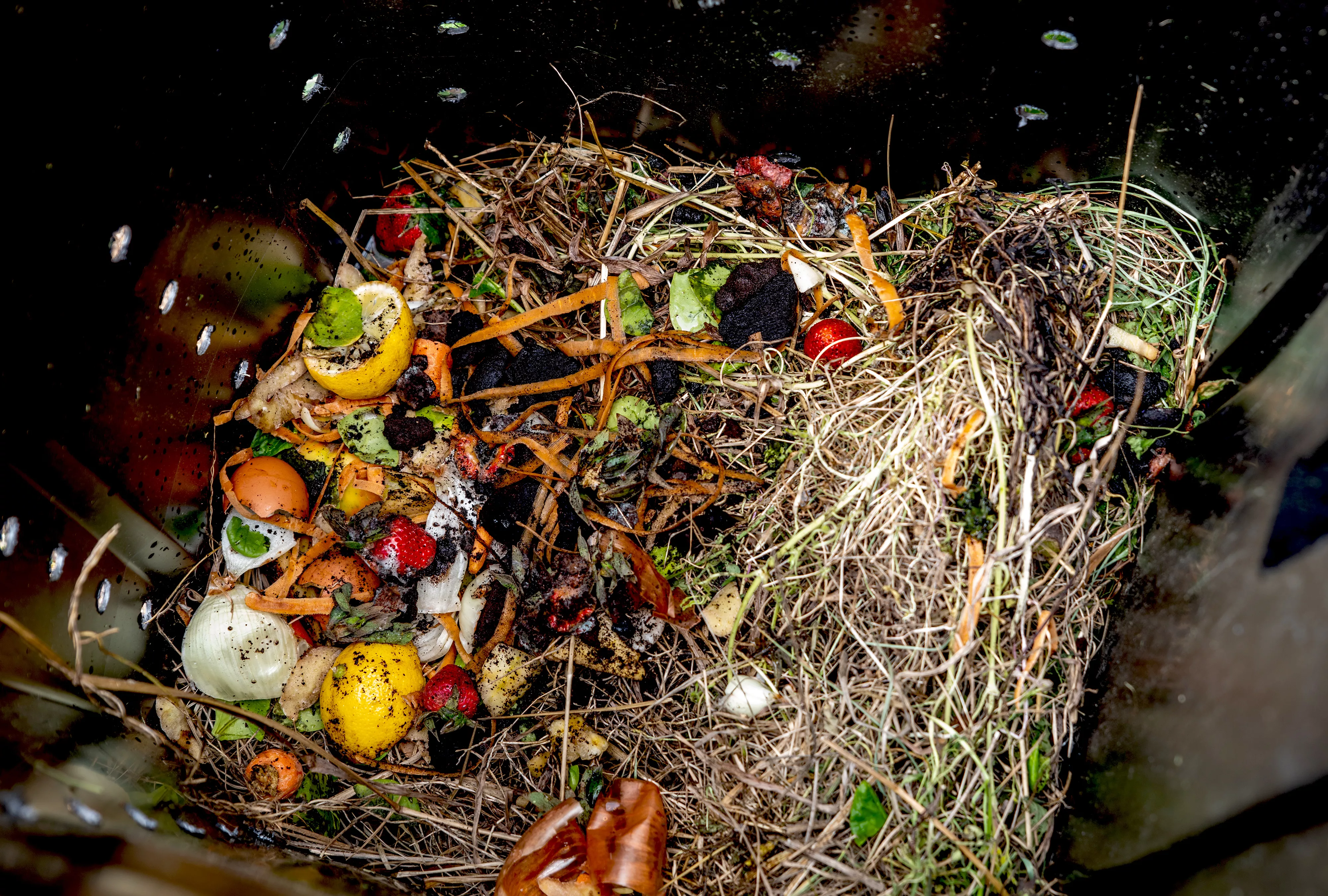 DIY compost bin, showing off compost materials inside