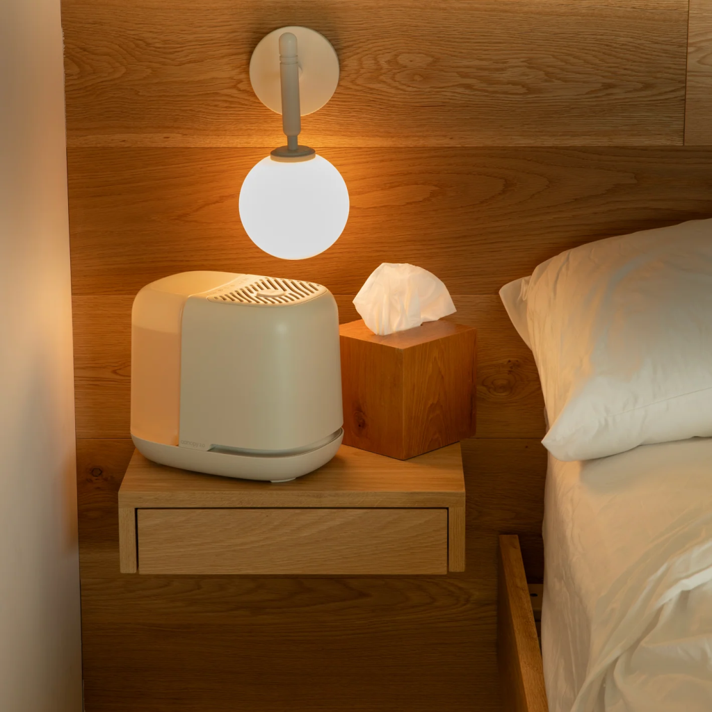 image 1 edited 1024x1024