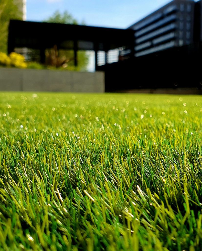 A Personalized Plan for the Perfect Party Lawn