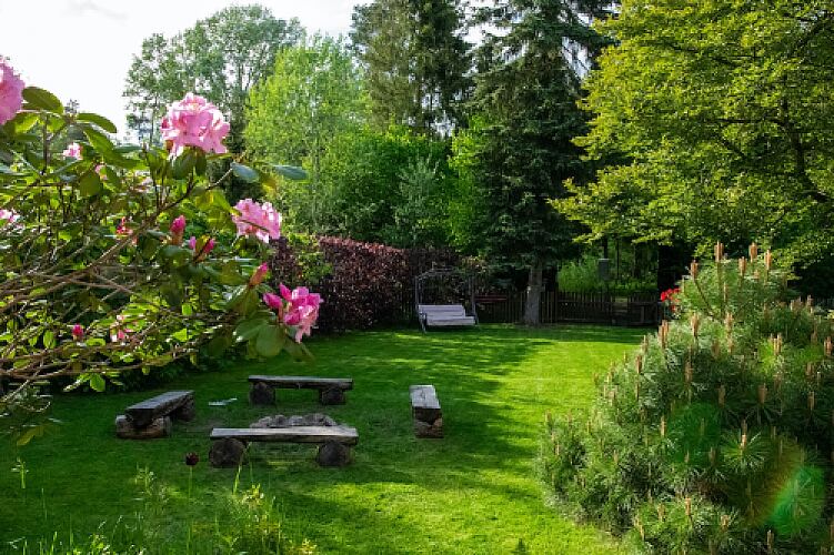 Essential Summer Lawn Care Tips for the Environmentally Conscious Homeowner