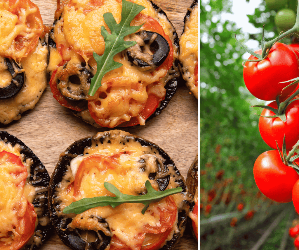 mushrooms 1562 x 1302 grilling 1024x854