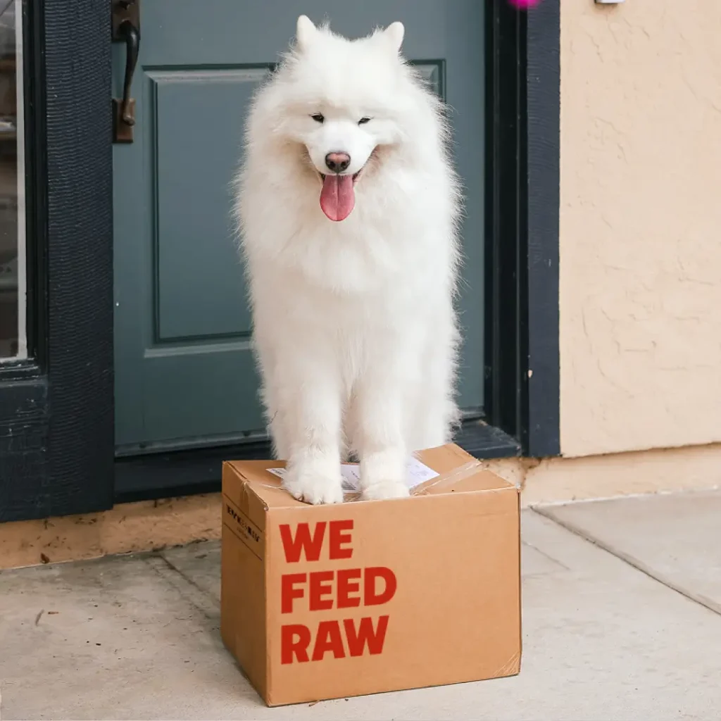 a resolution with four legged accountability 1024x1024