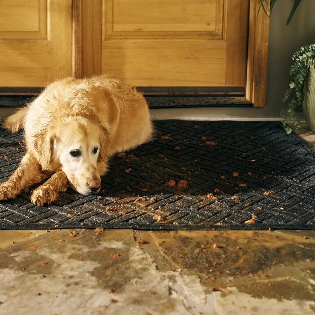 waterhog 45doormat why pet parents invest in waterhog mats 1024x1024