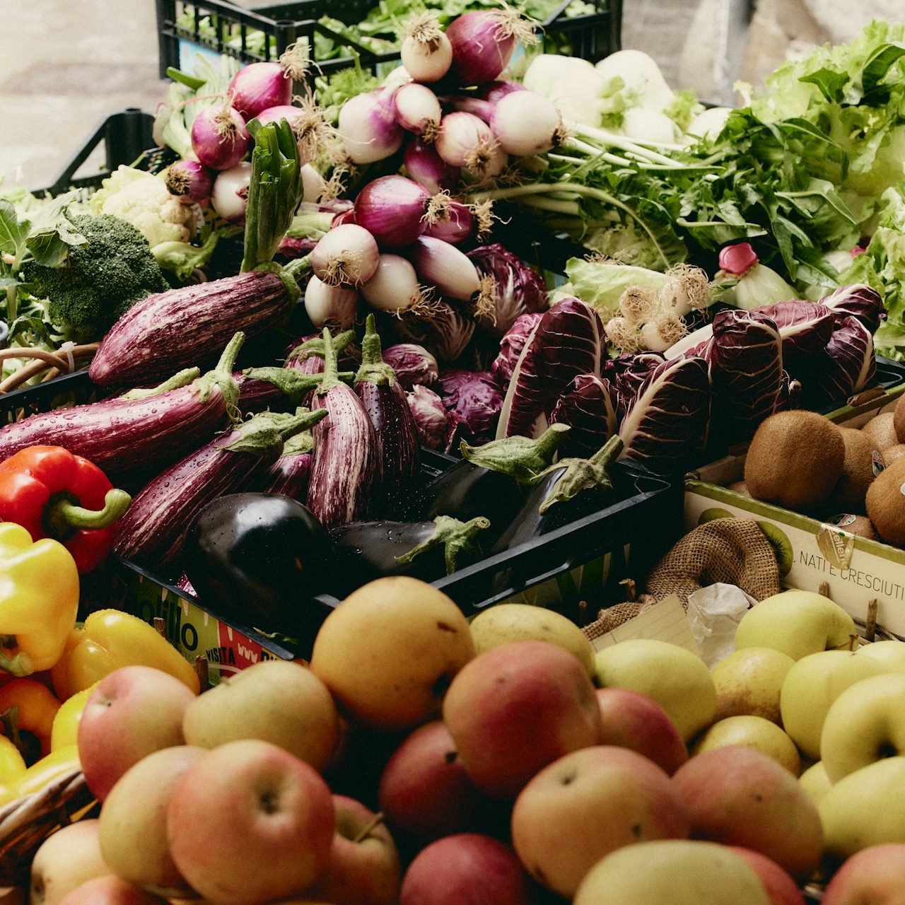 dts soft luxe daniel faro photos id10819 edited