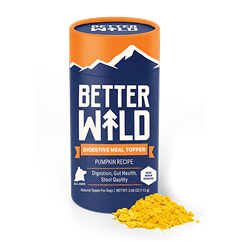 Laura Geller: Baked Starter Kit