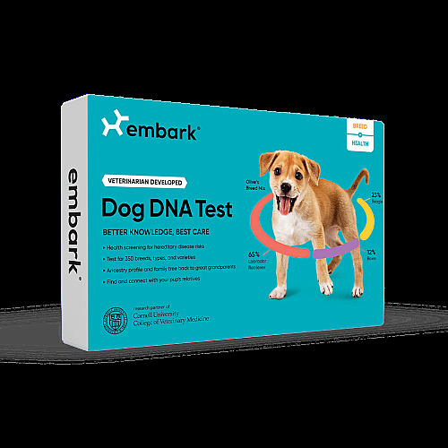 Breed + Health Dog DNA Test