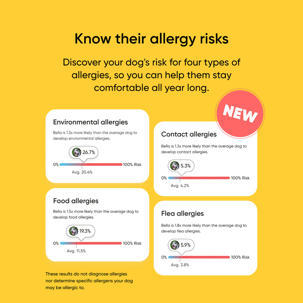 Dog allergy risk assessment chart on a yellow background with 'NEW' label.