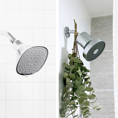 Canopy vs. Jolie: How Do They Compare?