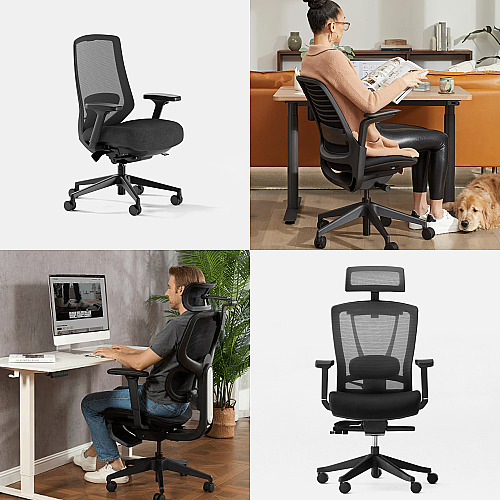 Top 4 Ergonomic Office Chairs Under $600: Finding Professional Support Without Premium Pricing