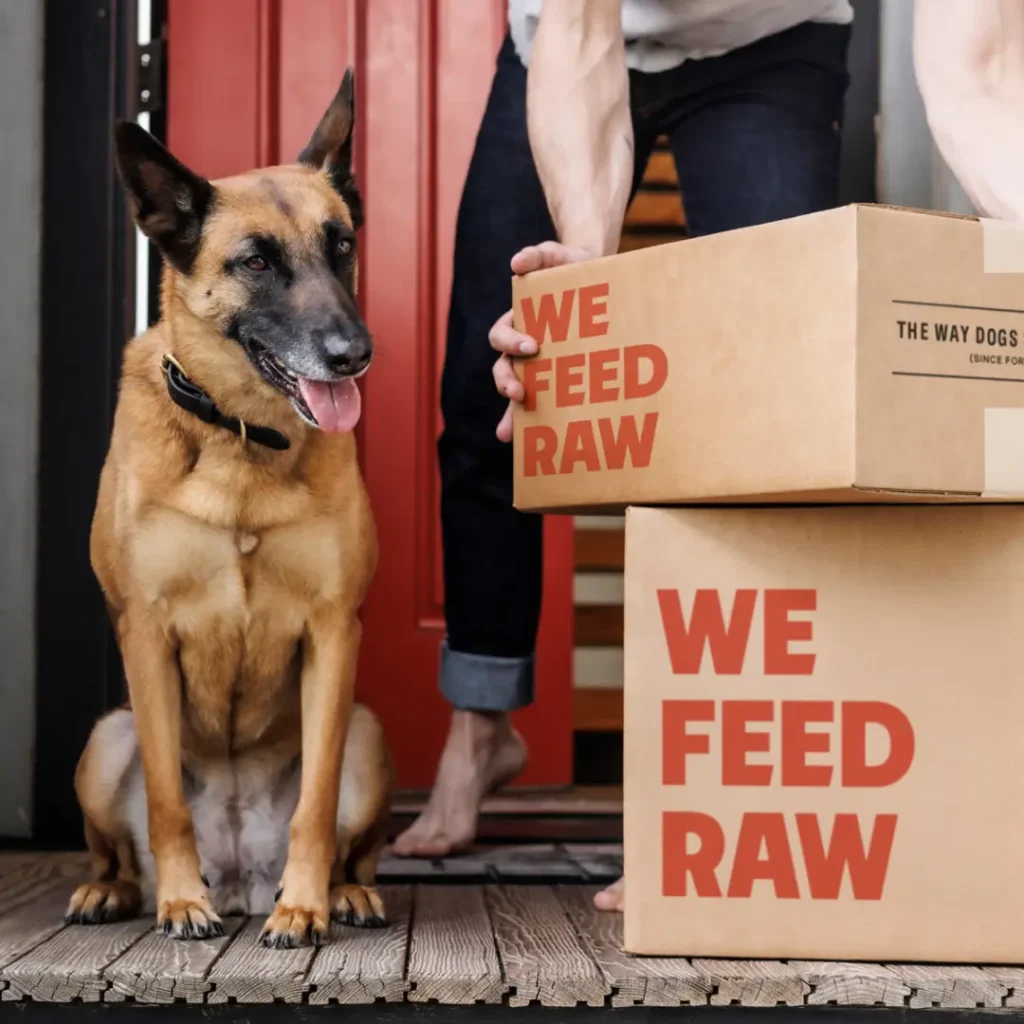 ten-days-to-a-new-diet-1024x1024-1768864741