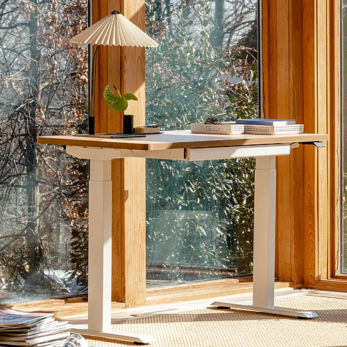 Wellness at Work: 5 Ways the Branch Duo Standing Desk Keeps You Moving