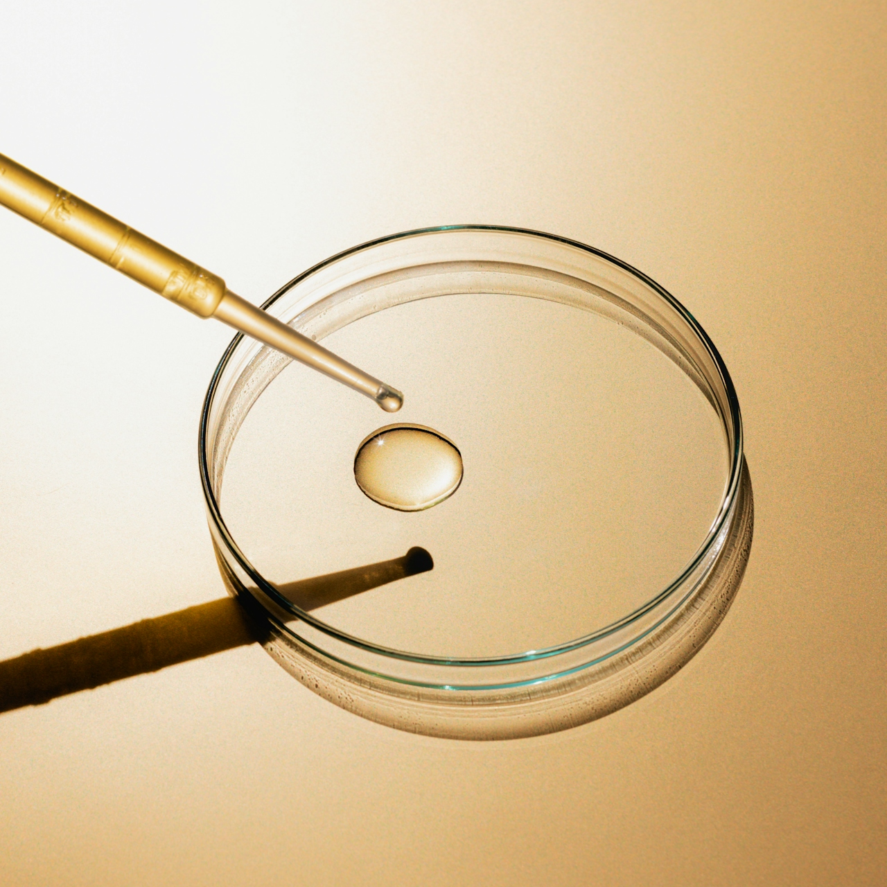 DTS_Skin_Deep_Daniel_Farò_Photos_ID4244