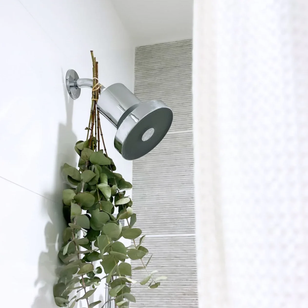 ig story jessica stanzione t143810 3 1200x at 2x edited