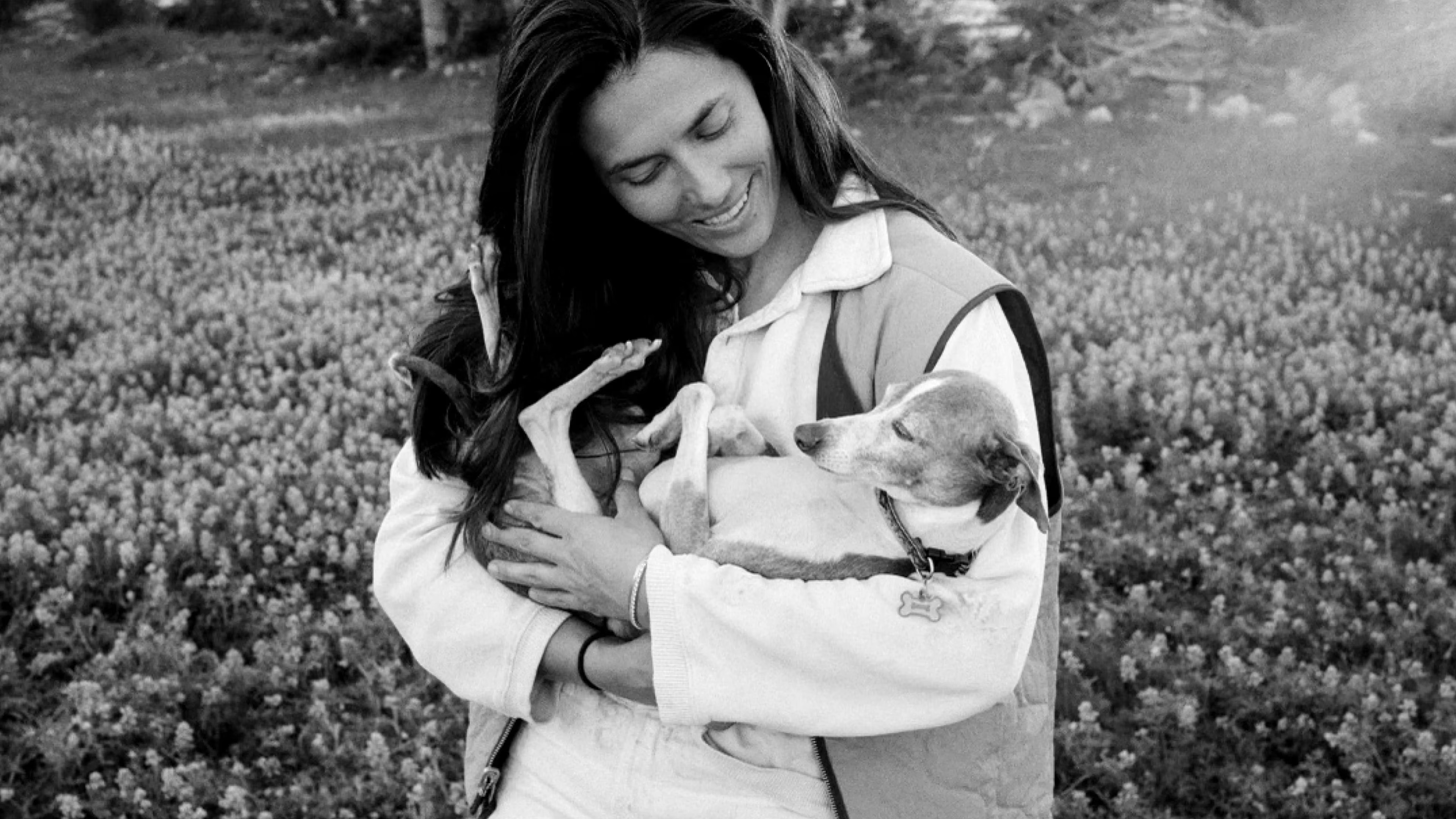 pasted image qVdbBtZO