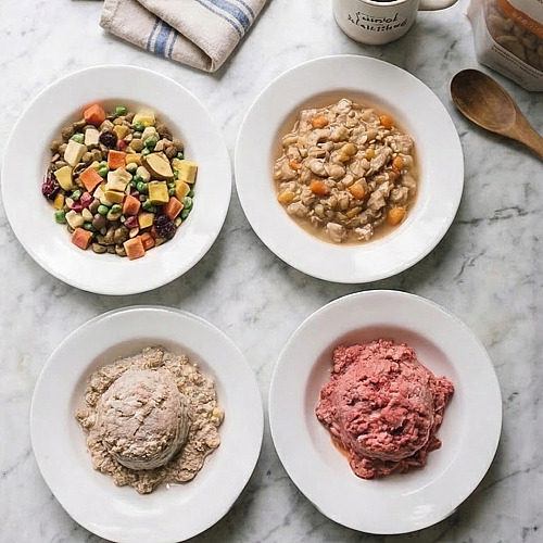 We Compared 4 Popular Raw Dog Foods. Only One Checked Every Box.