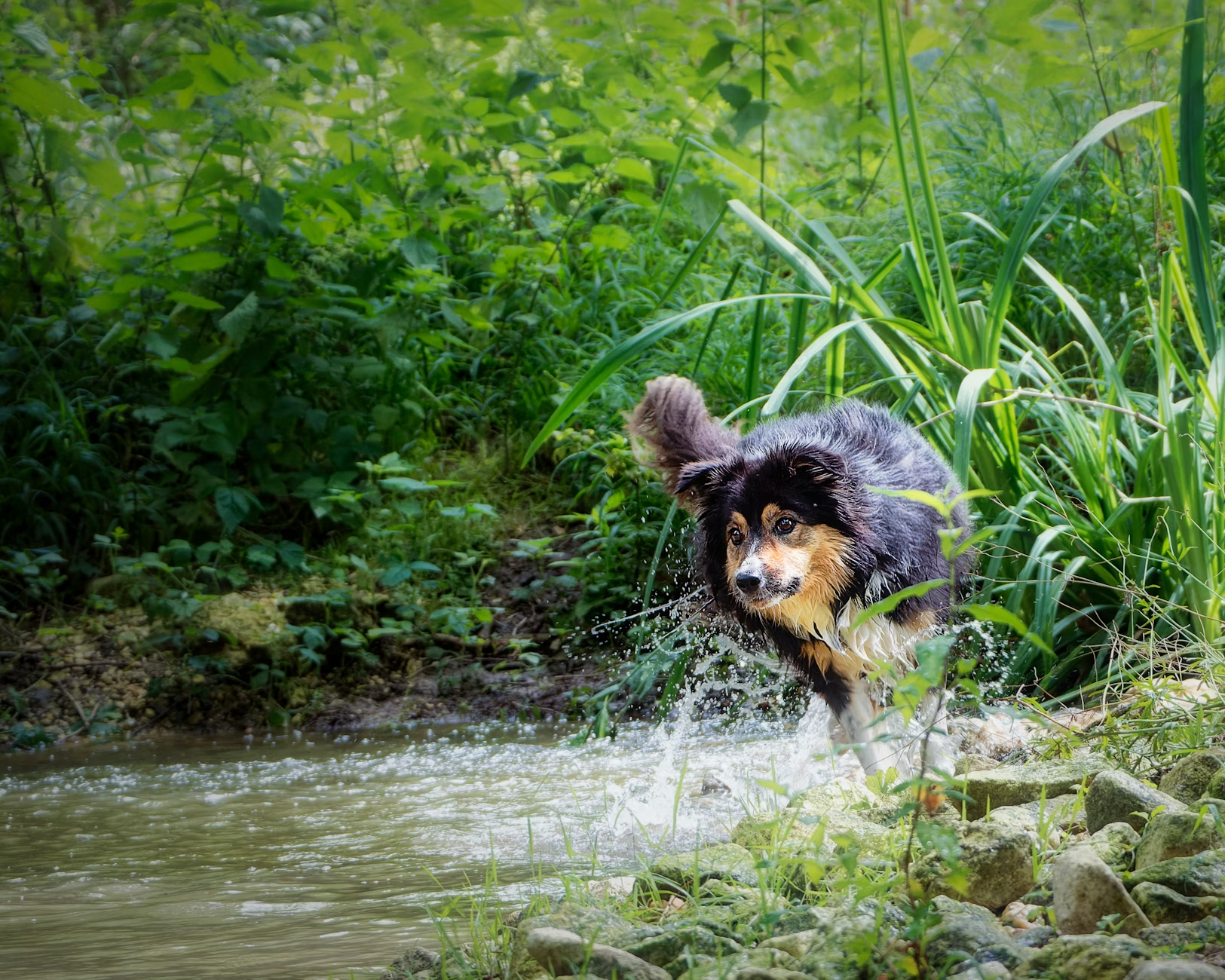 pasted image mZZkaYhz