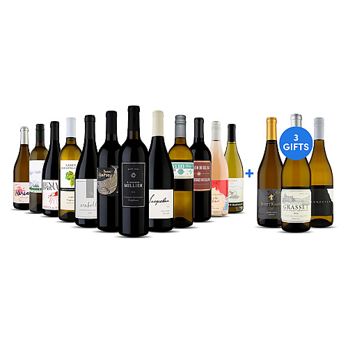 Springtime Hosting Case