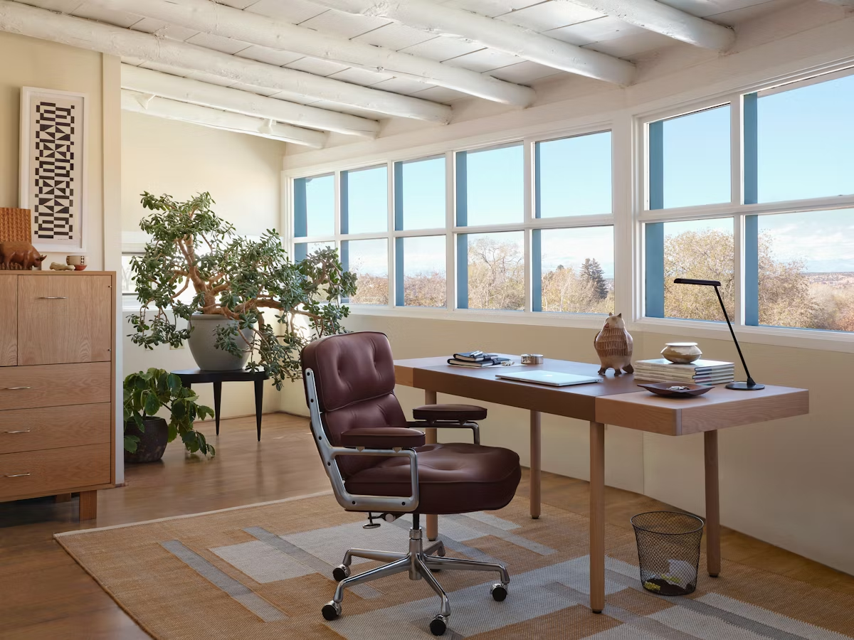 pasted image zfMg50UY