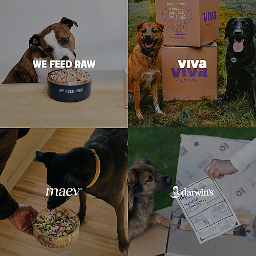 We Compared 4 Popular Raw Dog Foods. Only One Checked Every Box.