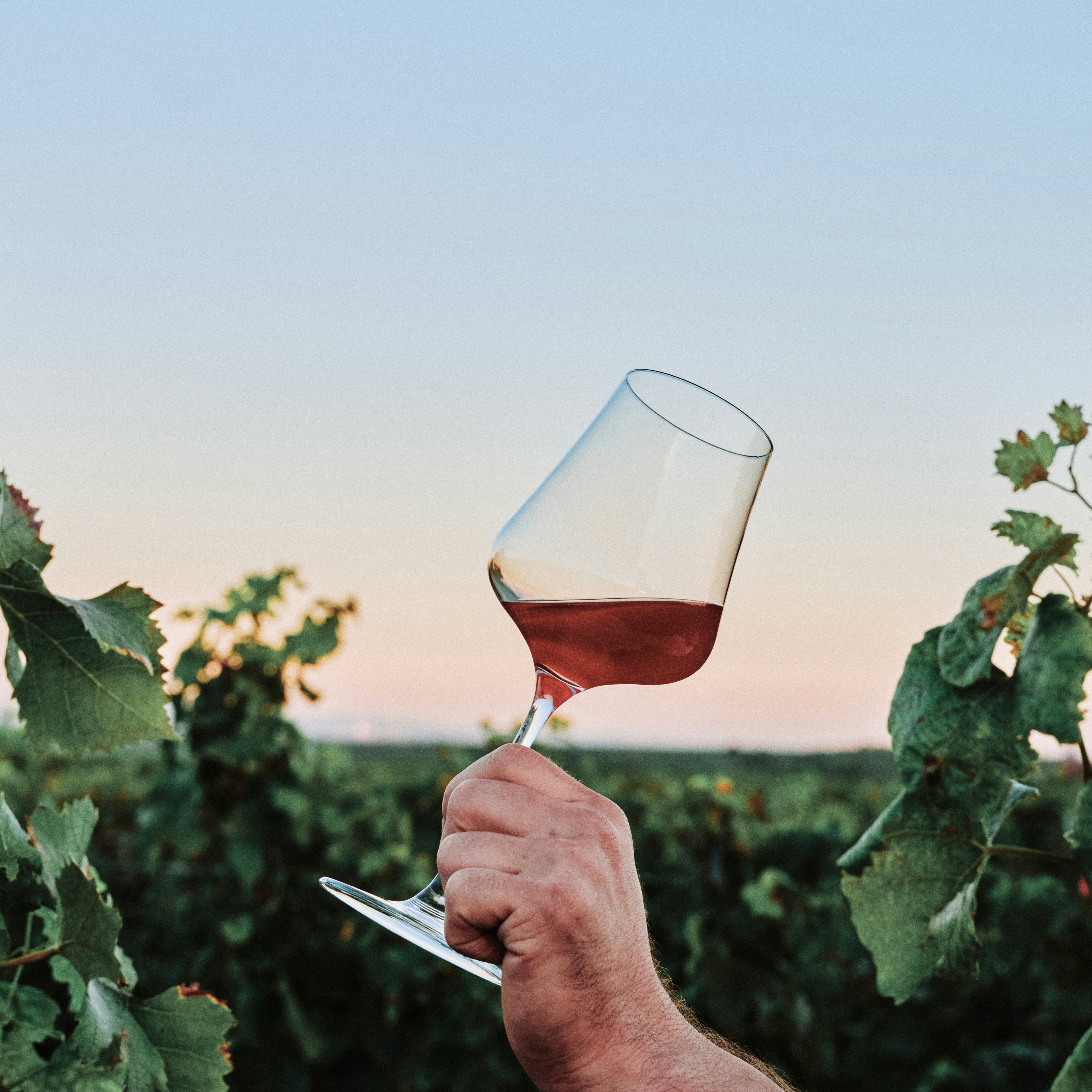 cropped-1776715036841