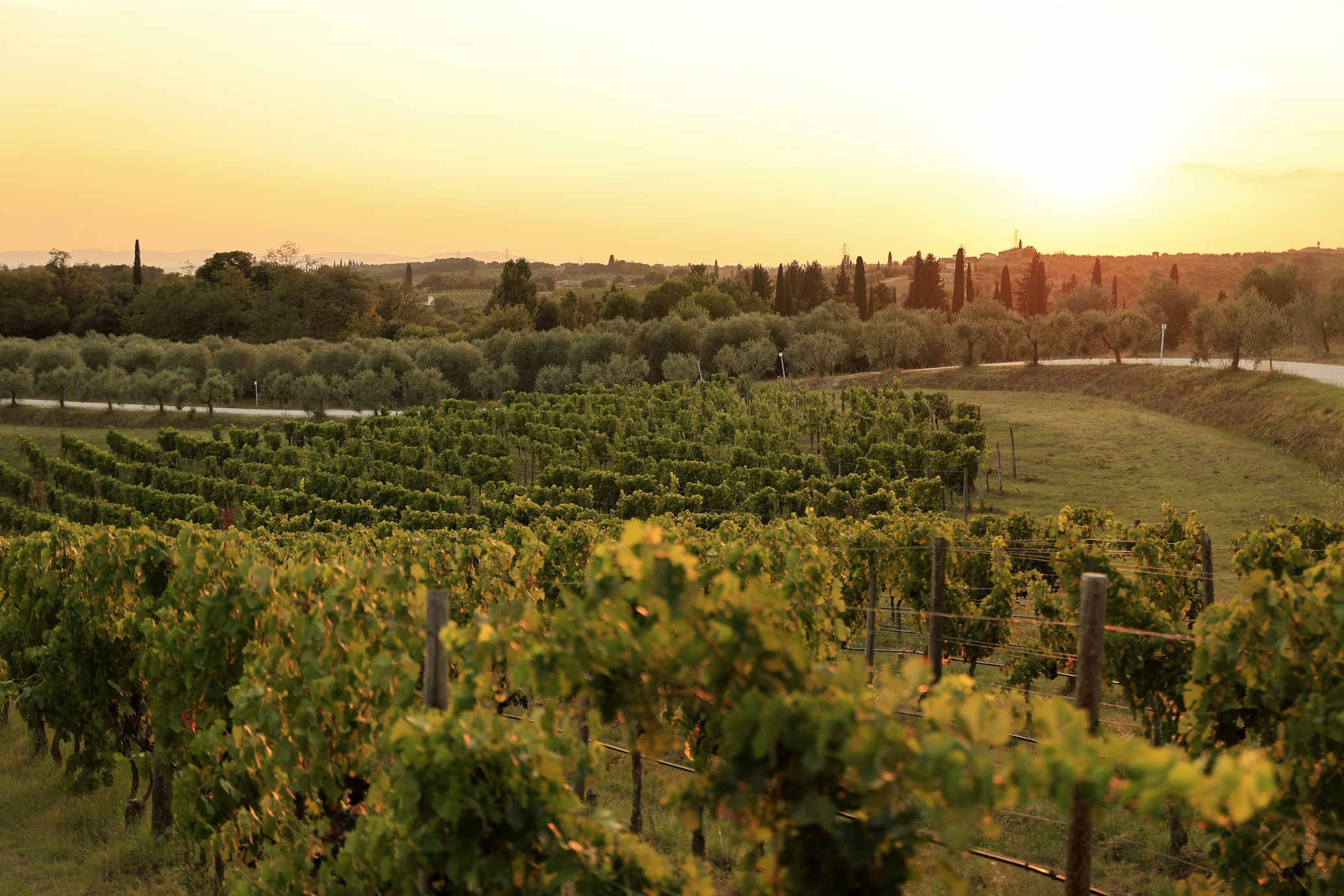 pasted image yoYdsNuQ