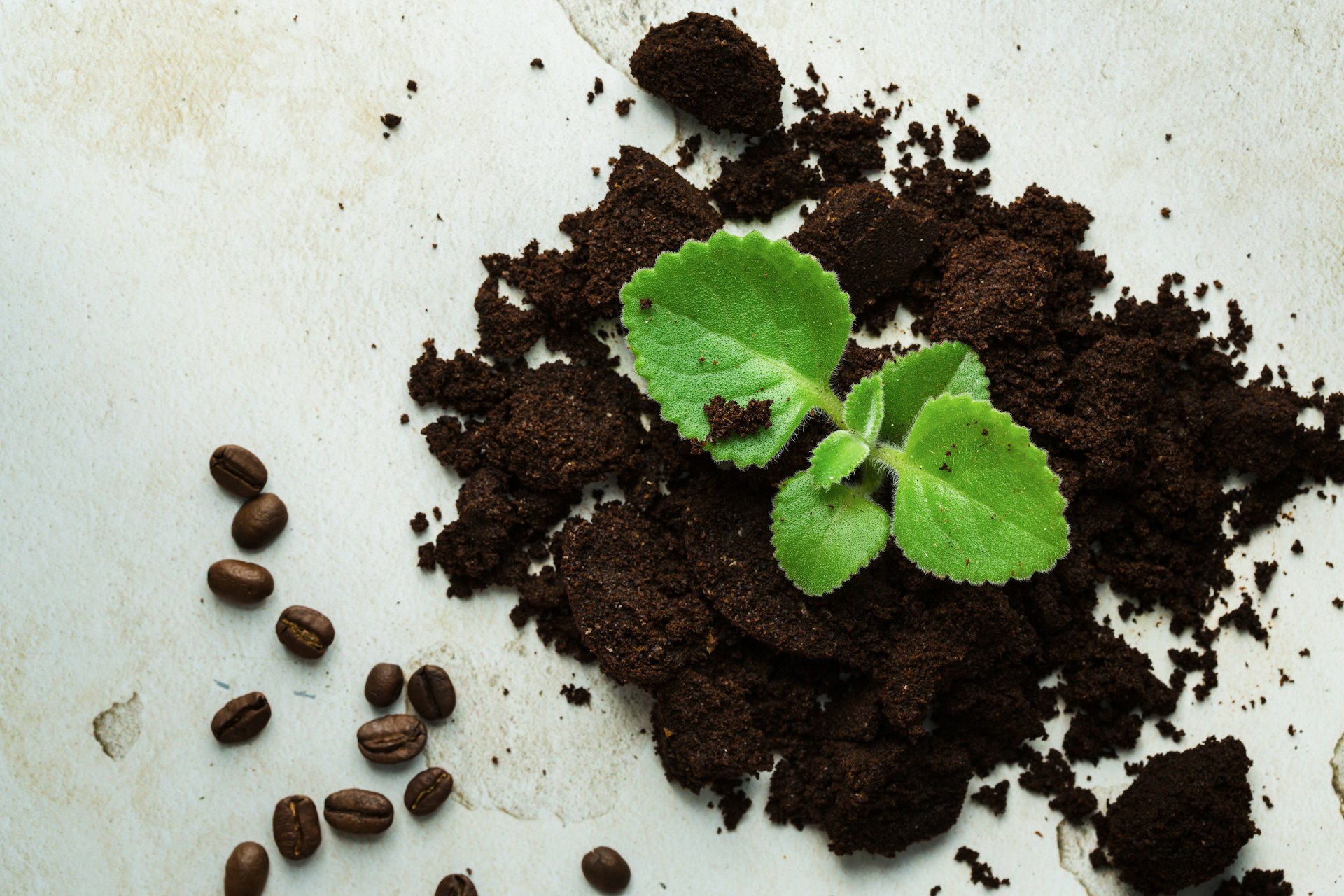 patrycja-jadach-9fdfjYqQjhs-unsplash