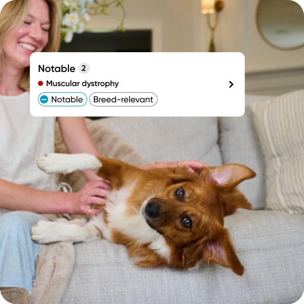 Embark Breed + Health Test Woman smiling while holding a dog on a couch