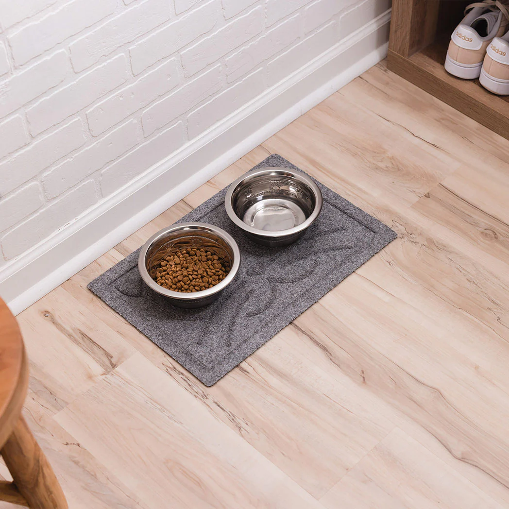 Two stainless steel pet bowls on a gray mat with food and water