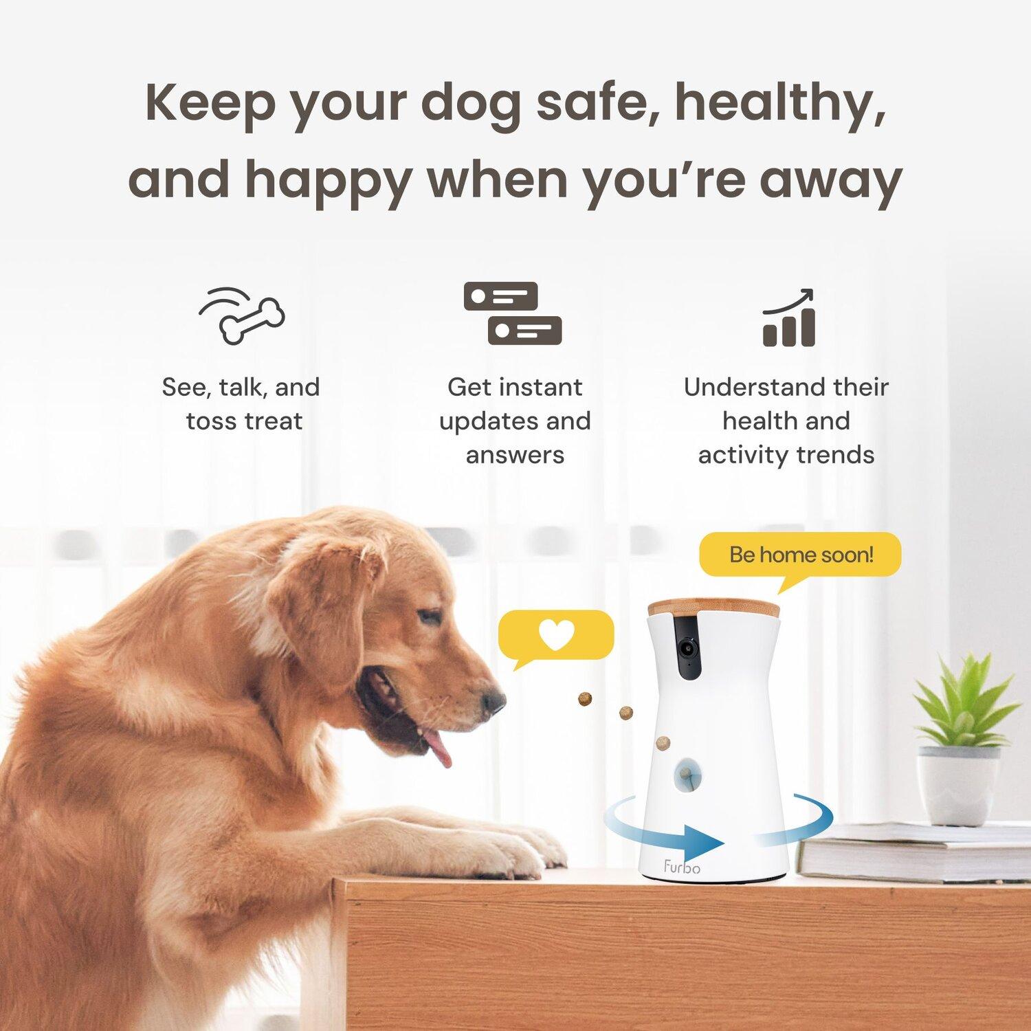 Furbo 360° Pet Camera Dog interacting with Furbo 360° pet camera