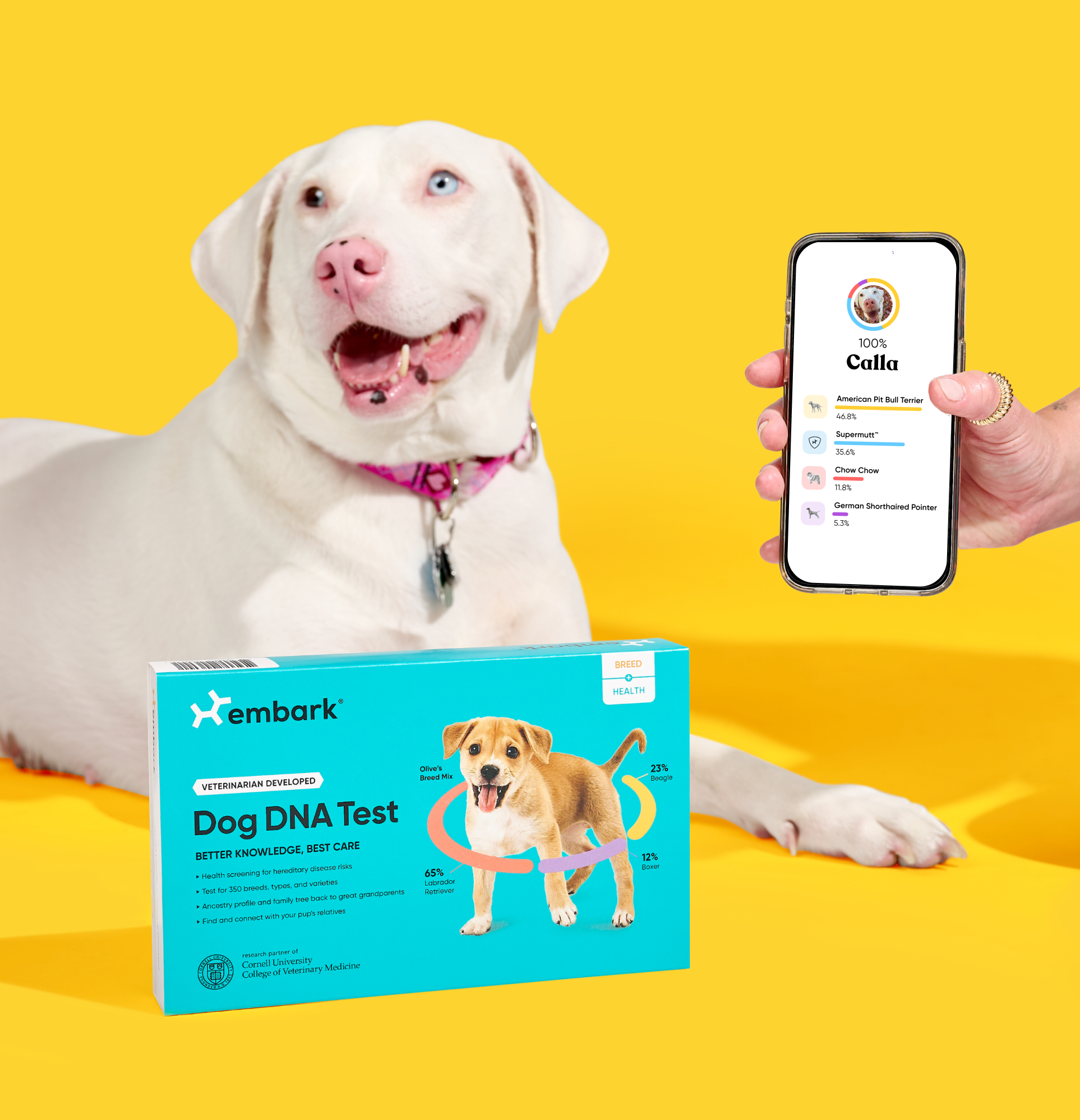 Dog with DNA test kit and smartphone displaying results