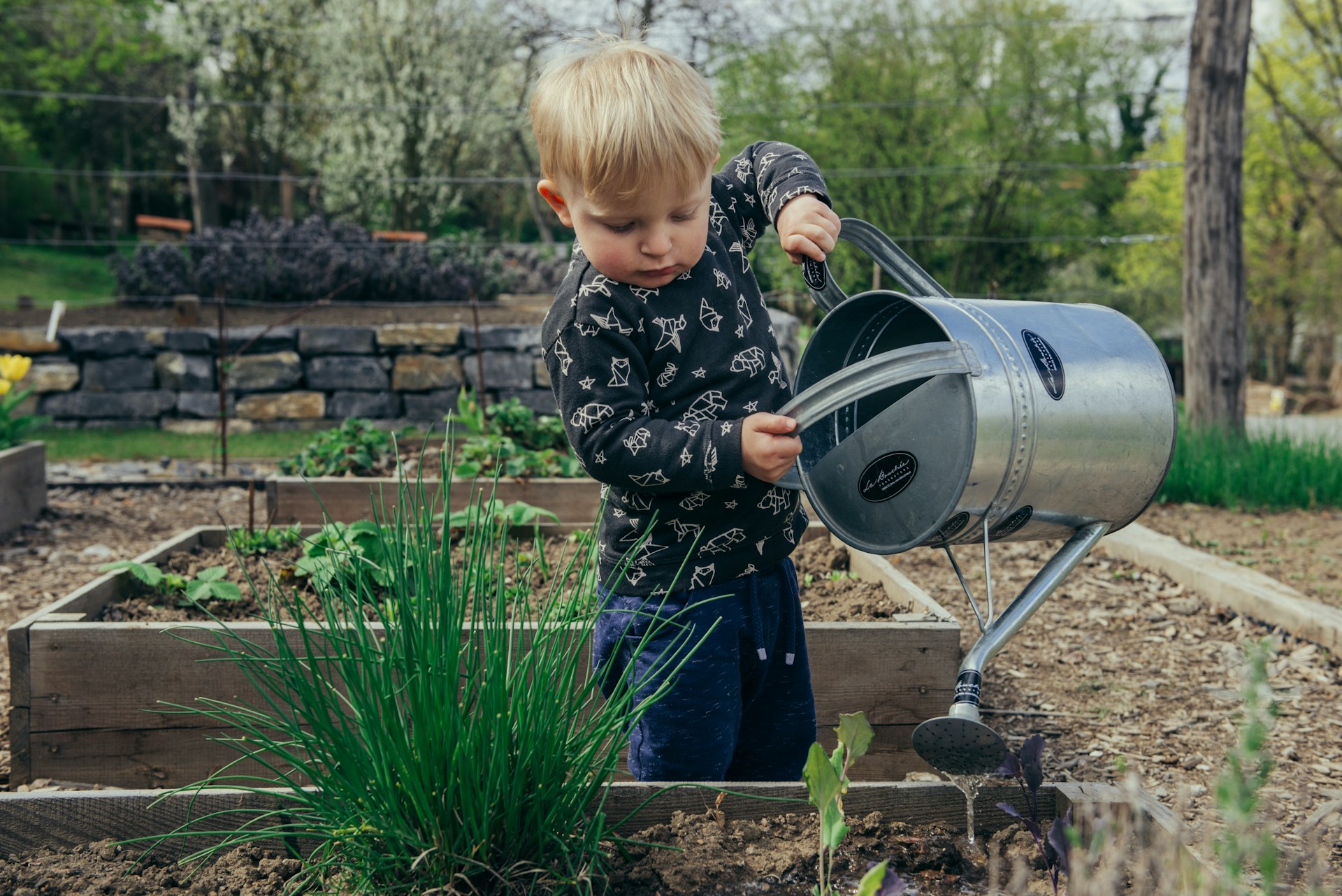 Young child watering plants in a garden