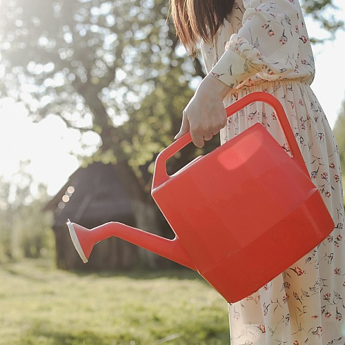 6 Garden Problems That Start in June If You Skip These May Tasks